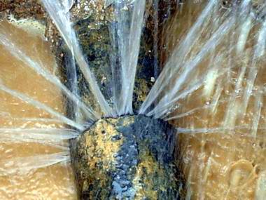 �ܾW©ˮ���ܕ�������ЩӰ푣�